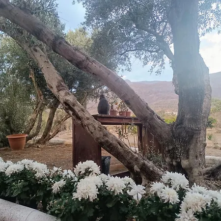 Farm stay La Casa De La Pradera *